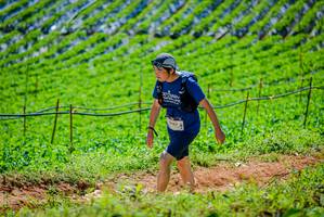 BIB: 247
                            <button type="button" onclick="openModal(19164066)" class="btn btn-primary btn-sm float-right btn-popup" data-toggle="modal" data-target=".modal-high-quality">
                        <i class="fas fa-shopping-cart"></i> Add to Cart
                    </button>
                                            <button type="button" onclick="isThisMe(19164066, true)" class="btn btn-success btn-sm float-right btn-popup btn-isme hidden" data-toggle="tooltip" data-placement="bottom" title="นี่คือรูปของคุณใช่ไหม คลิกที่นี่เพื่อเอาเข้าอัลบั้ม">
                        <i class="fas fa-plus"></i> Add to album
                    </button>
                    <button type="button" onclick="isThisMe(19164066, false)" class="btn btn-warning btn-sm float-right btn-popup btn-isnotme hidden">
                        <i class="fas fa-ban"></i> Remove from album
                    </button>